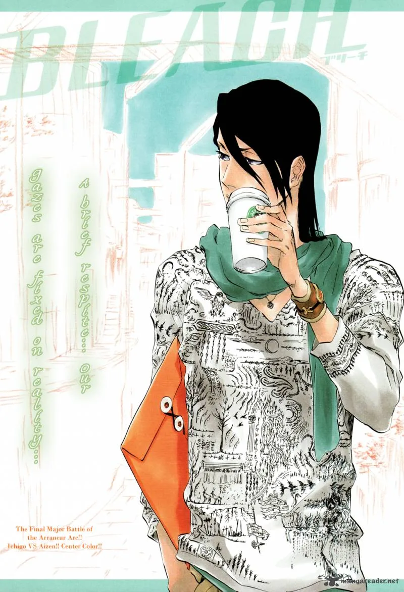 Bleach Chapter 396 page 4