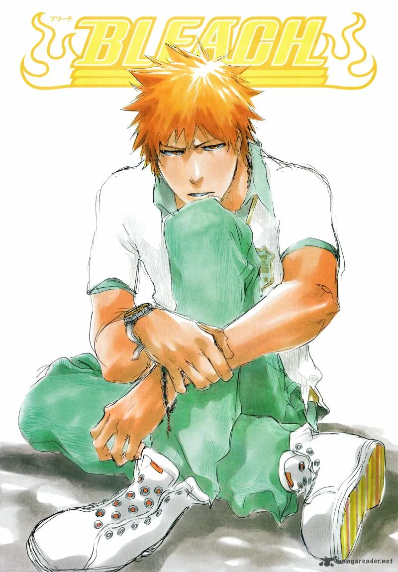 Bleach Chapter 411 page 24