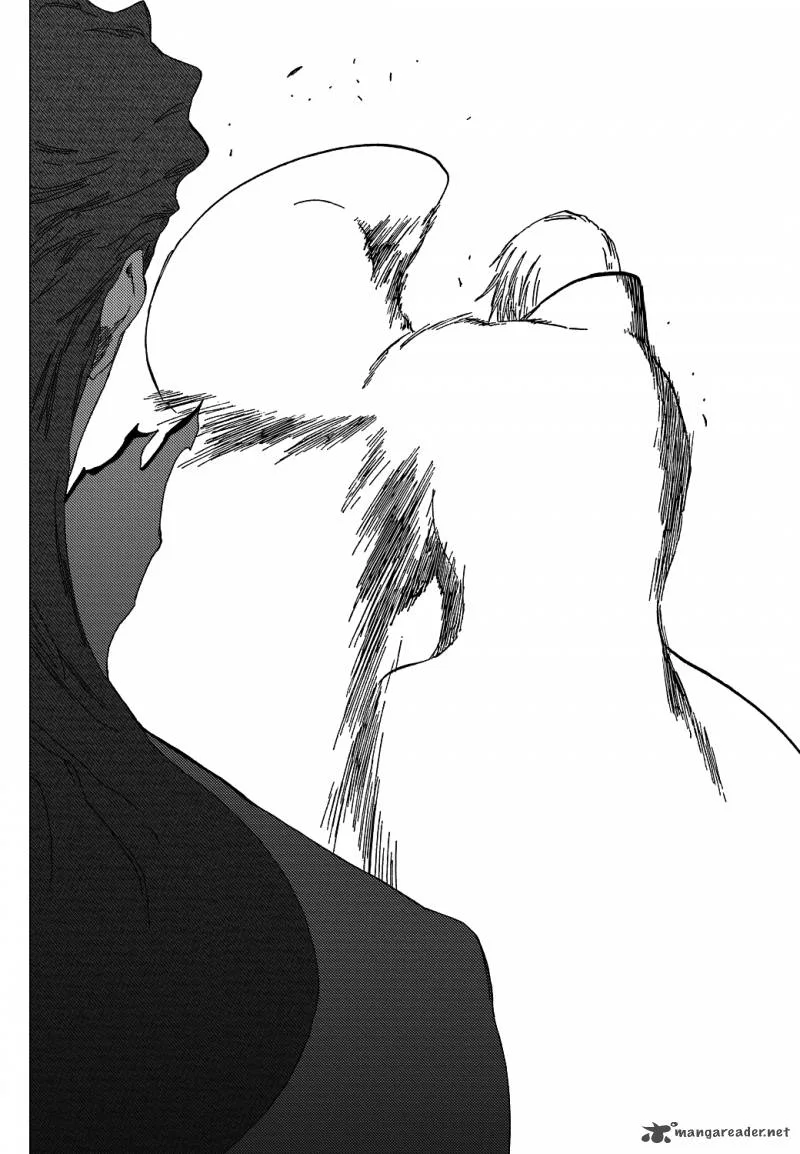 Bleach Chapter 414 page 14