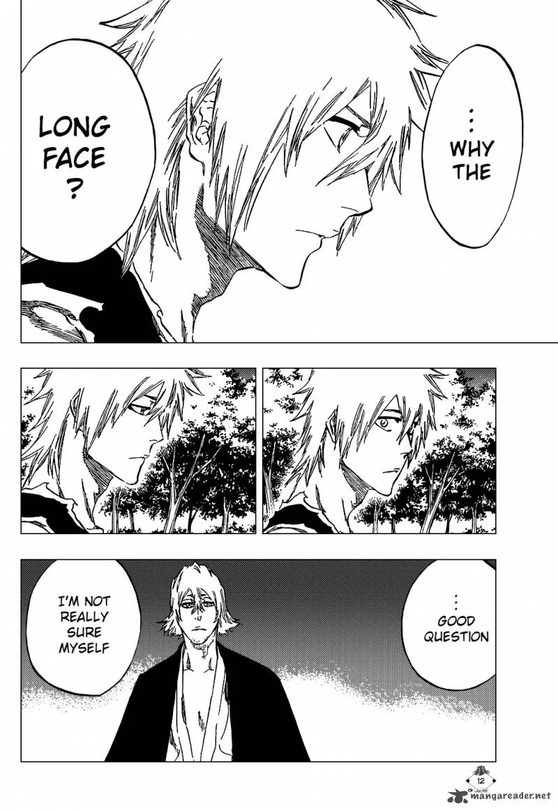 Bleach Chapter 422 page 15