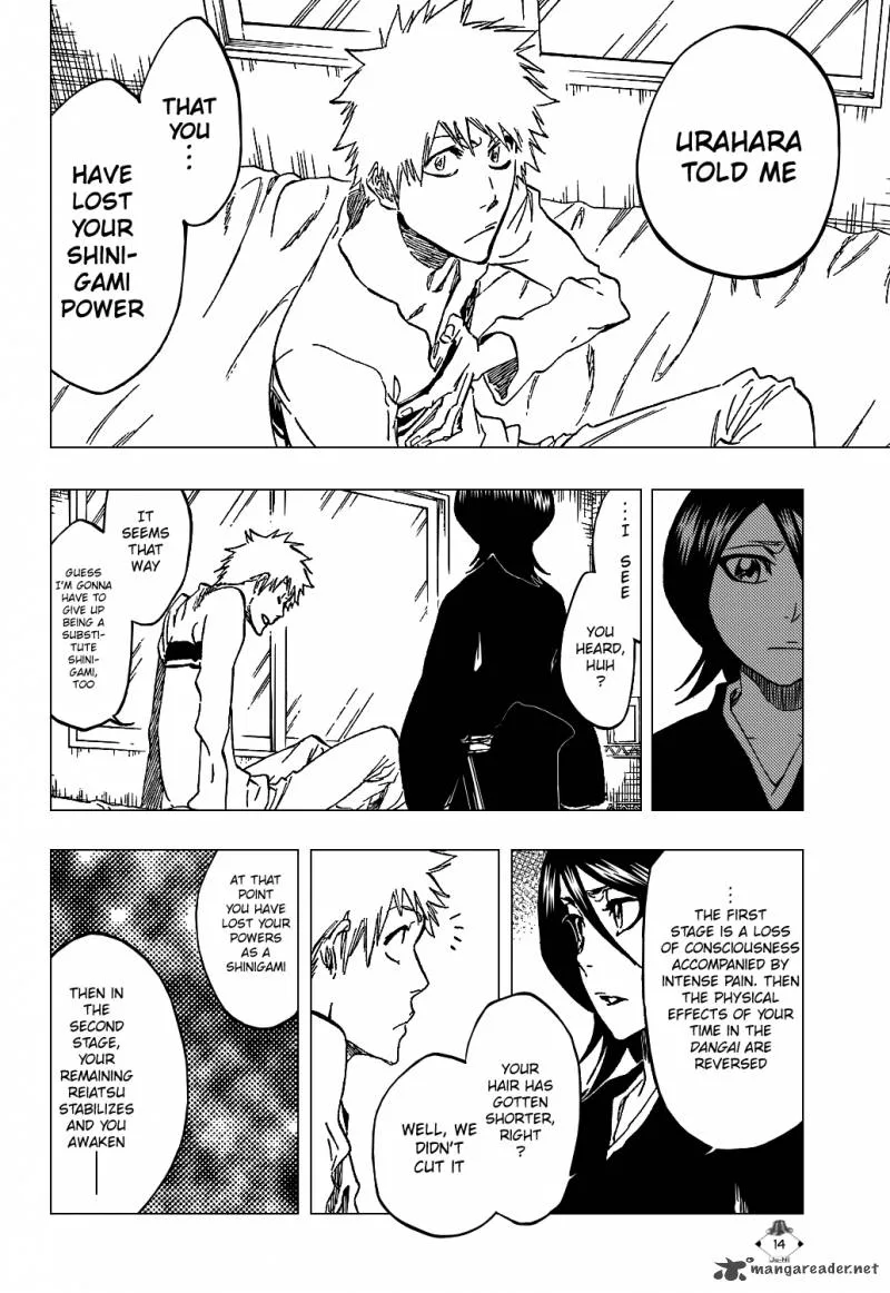 Bleach Chapter 423 page 17