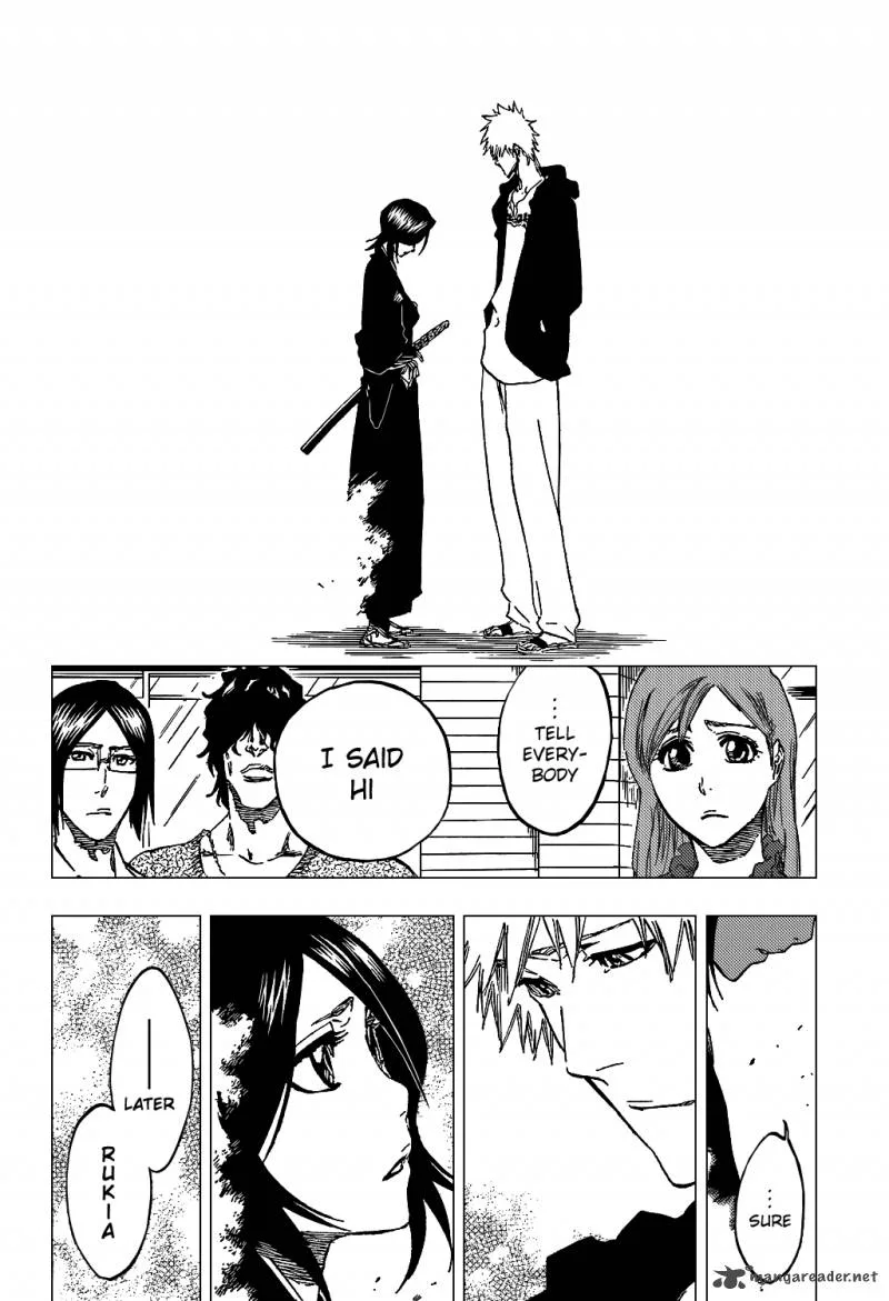 Bleach Chapter 423 page 21