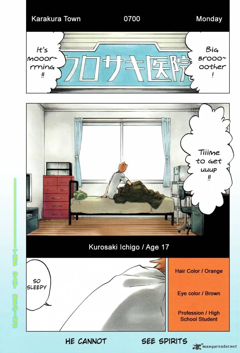 Bleach Chapter 424 page 4