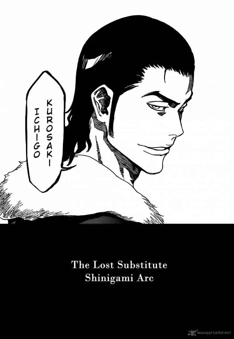 Bleach Chapter 424 page 24