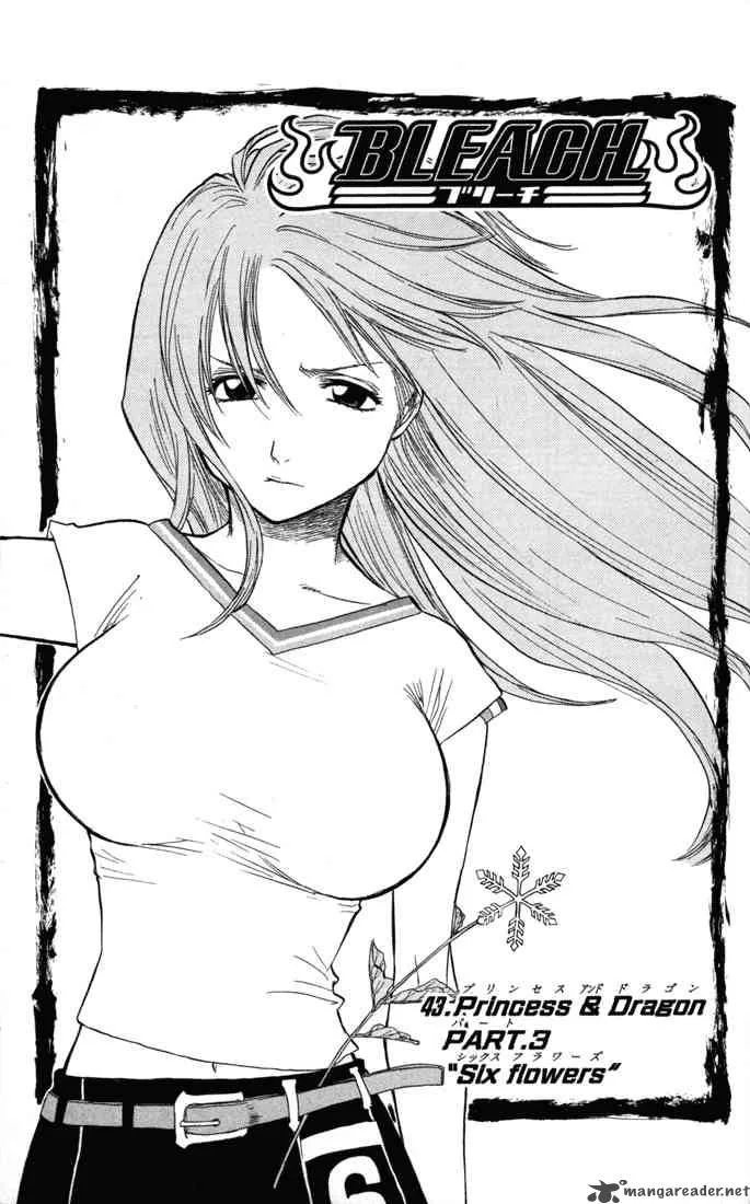 Bleach Chapter 43 page 5