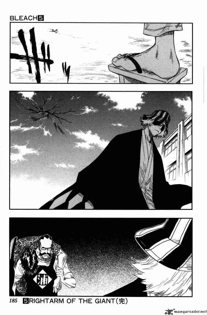 Bleach Chapter 43 page 19