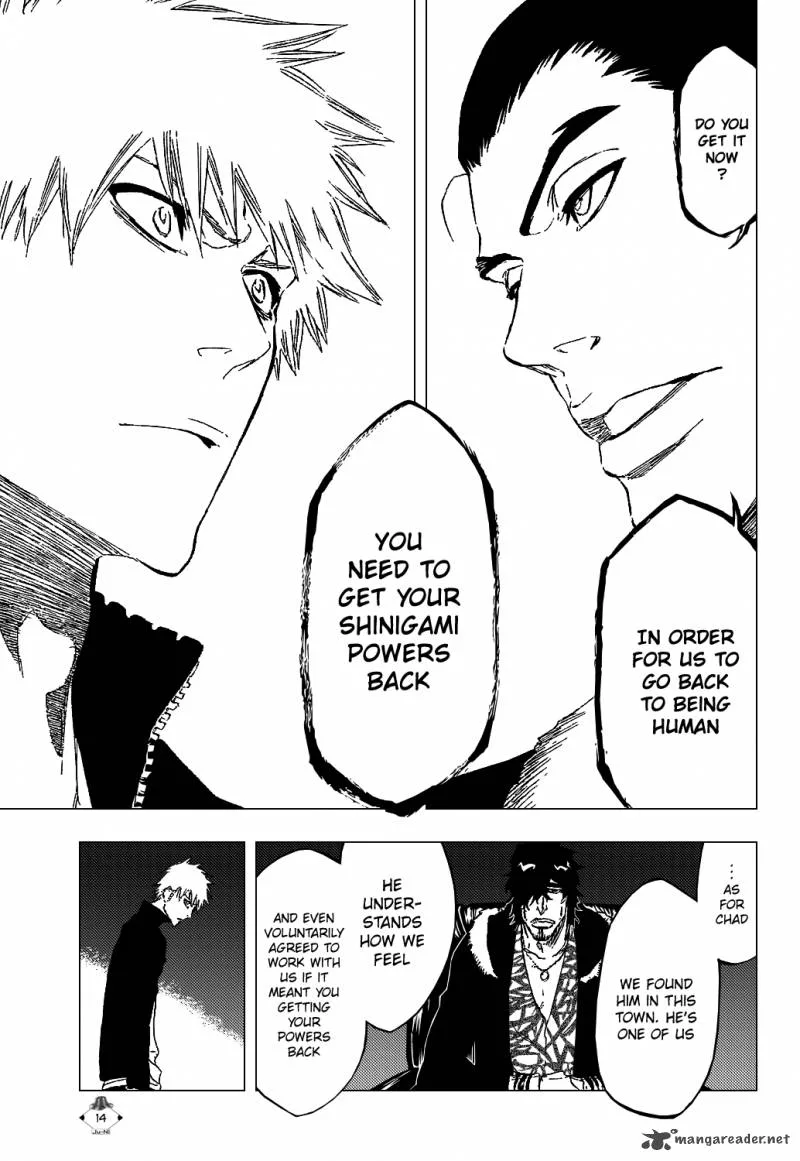 Bleach Chapter 433 page 17