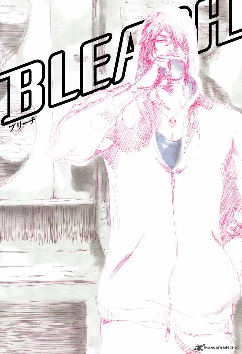 Bleach Chapter 436 page 24