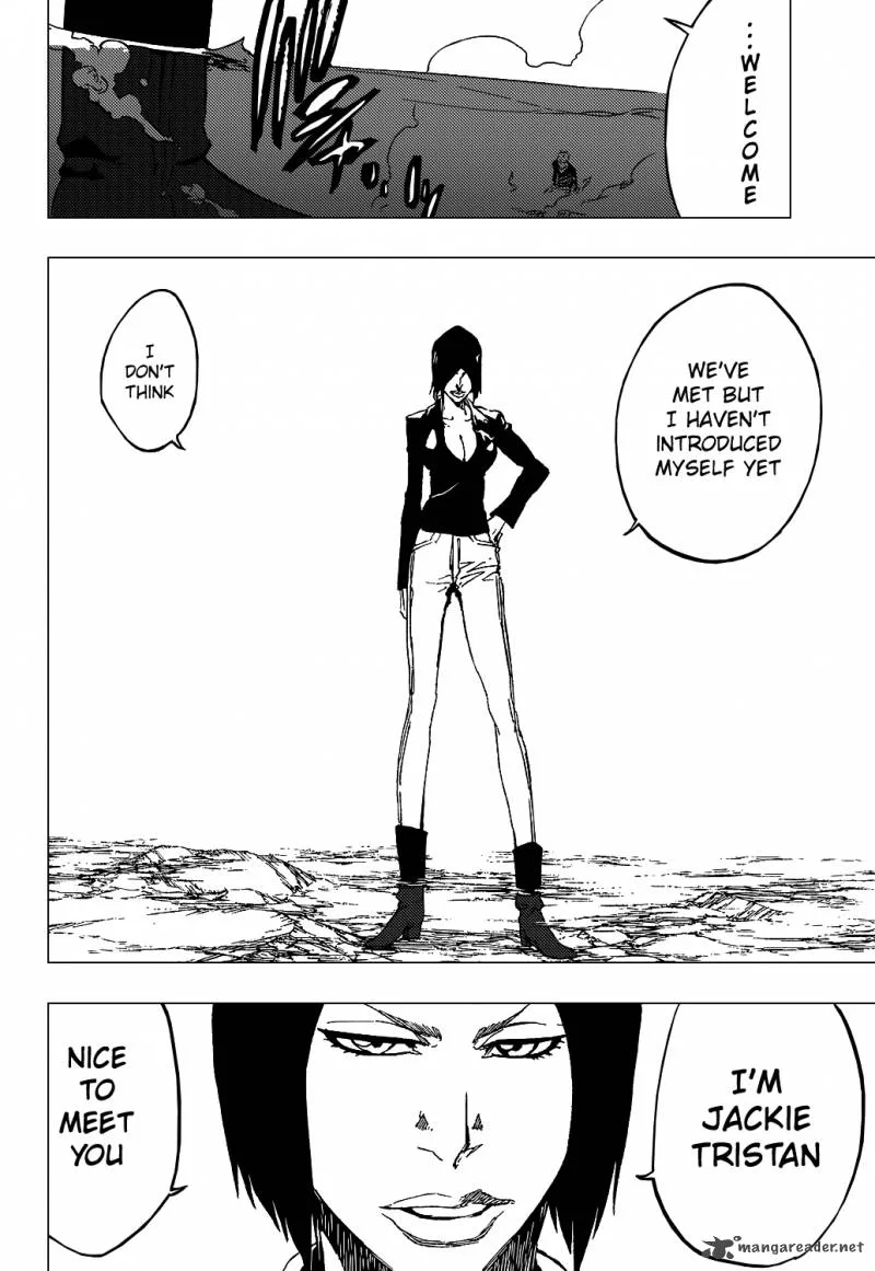 Bleach Chapter 441 page 21