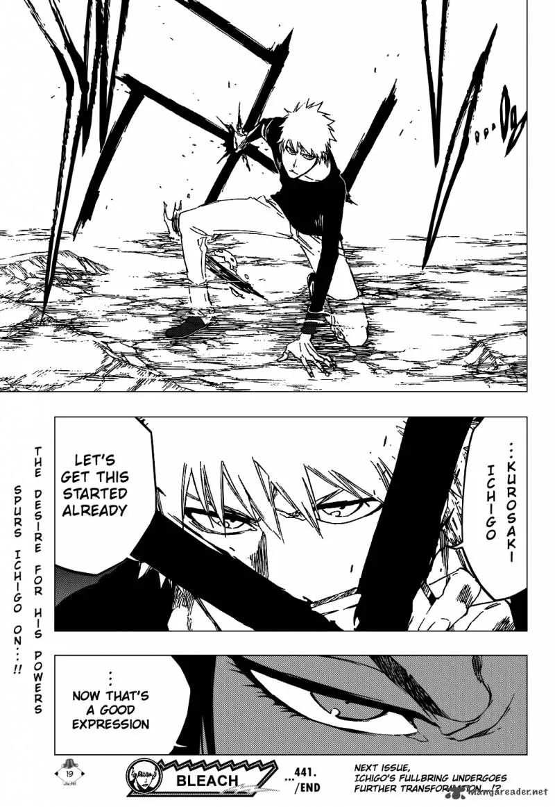 Bleach Chapter 441 page 22