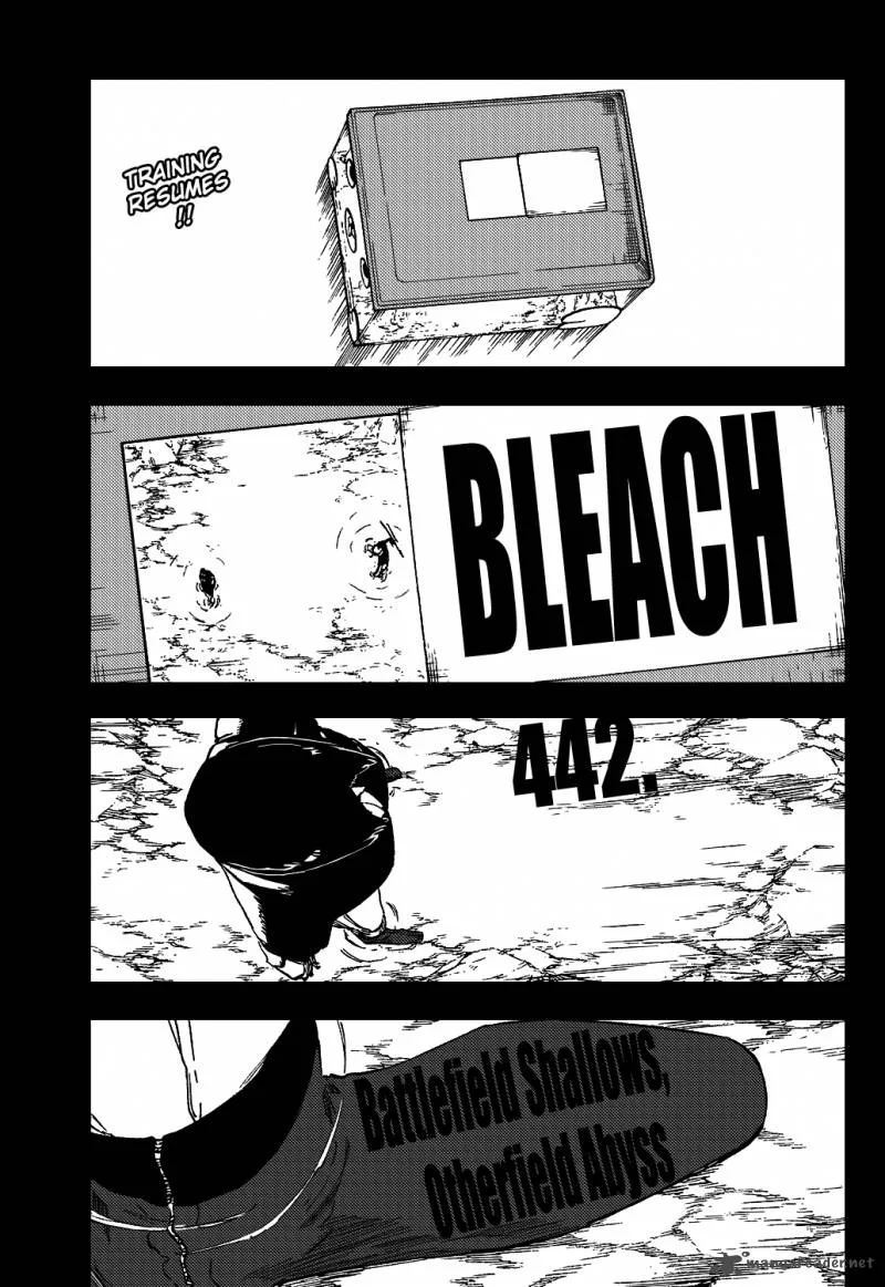 Bleach Chapter 442 page 6