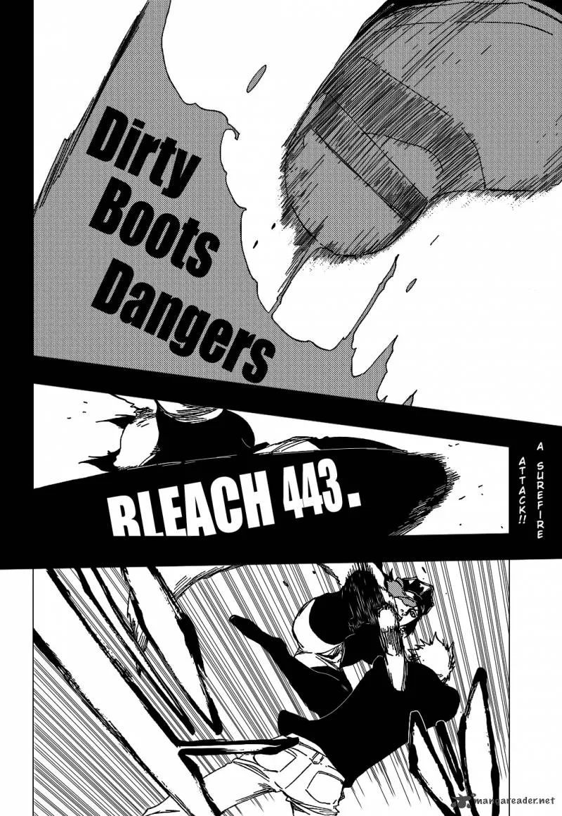Bleach Chapter 443 page 9