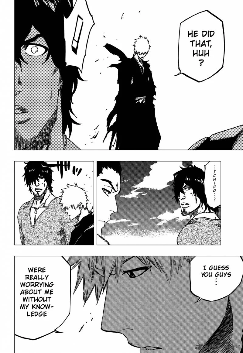 Bleach Chapter 445 page 13
