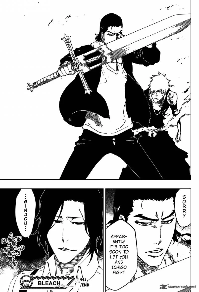 Bleach Chapter 445 page 22