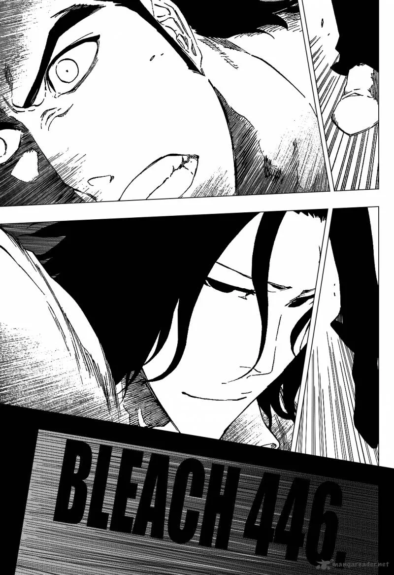 Bleach Chapter 446 page 10