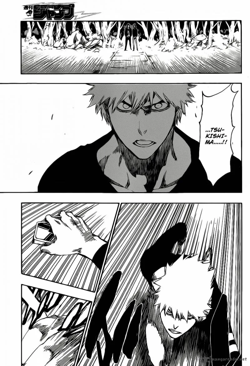 Bleach Chapter 455 page 3