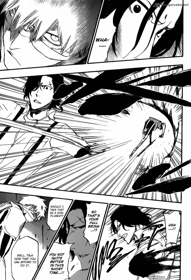Bleach Chapter 455 page 17