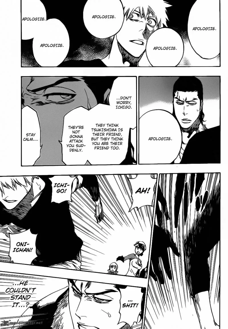 Bleach Chapter 455 page 9