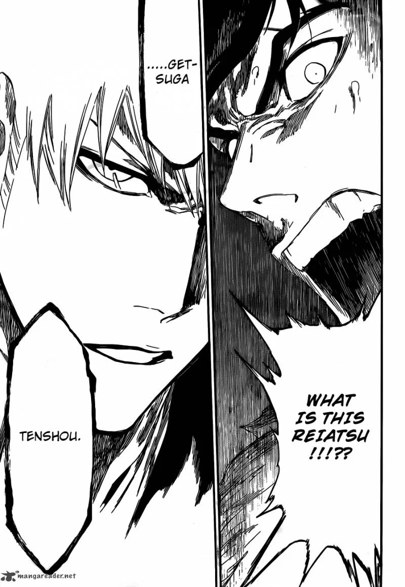 Bleach Chapter 460 page 17