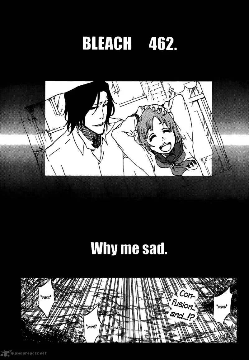Bleach Chapter 462 page 5