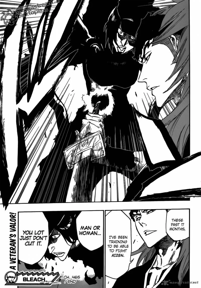 Bleach Chapter 465 page 18