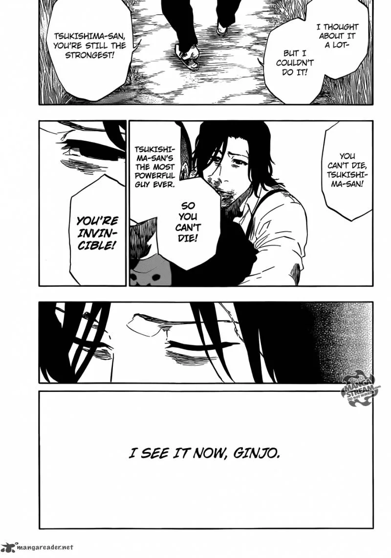 Bleach Chapter 478 page 17
