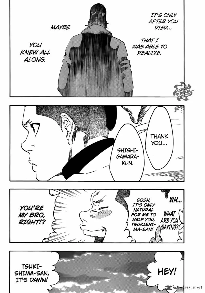 Bleach Chapter 478 page 18