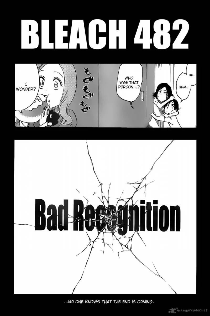 Bleach Chapter 482 page 4