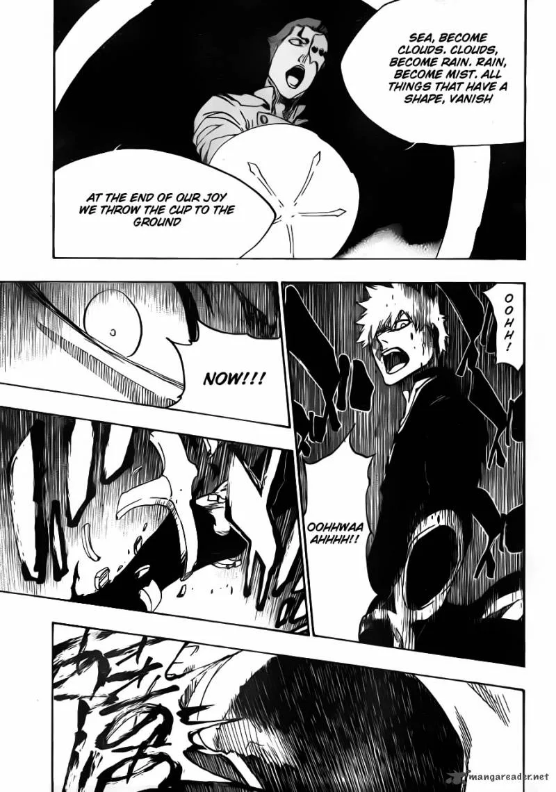 Bleach Chapter 483 page 14