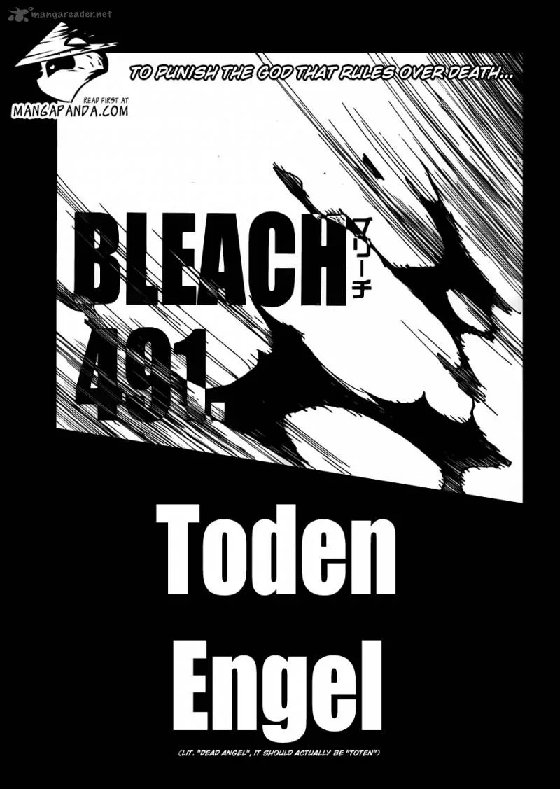 Bleach Chapter 491 page 3