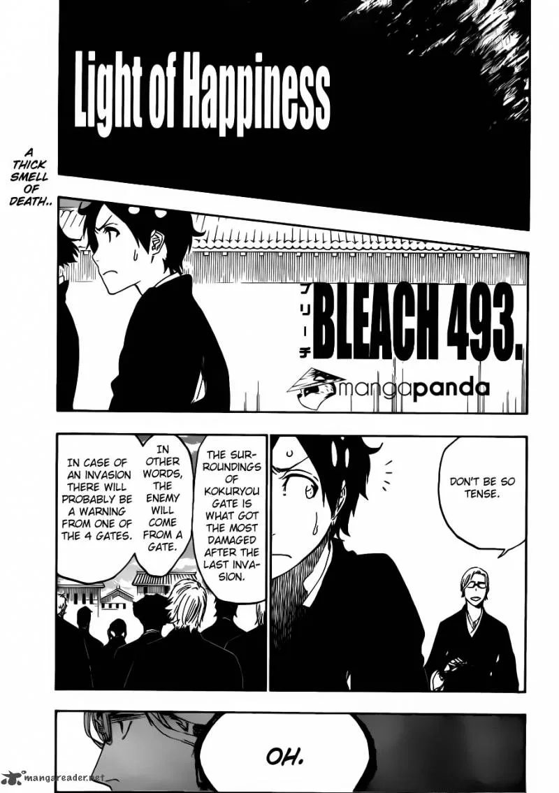 Bleach Chapter 493 page 15