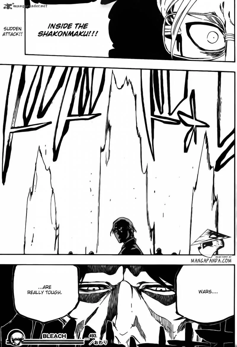 Bleach Chapter 493 page 17
