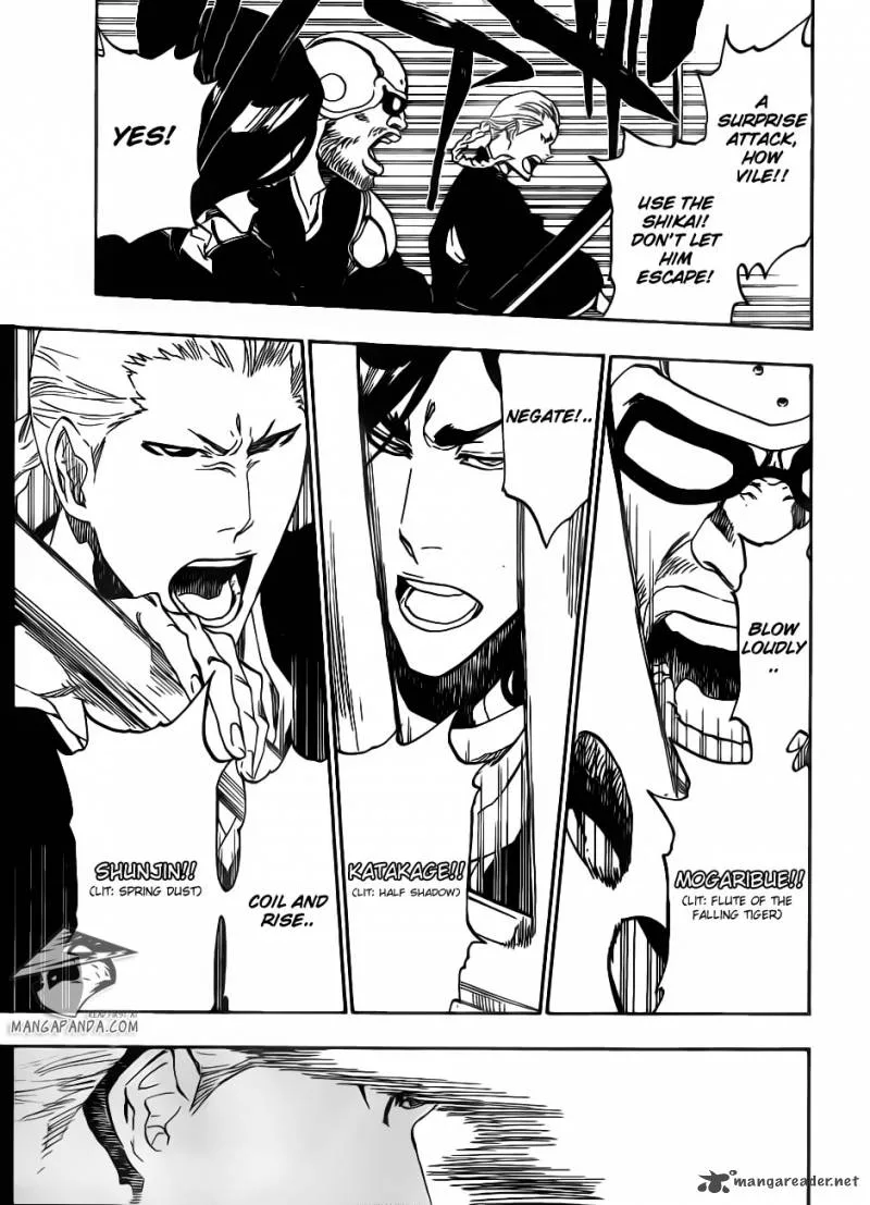 Bleach Chapter 494 page 13