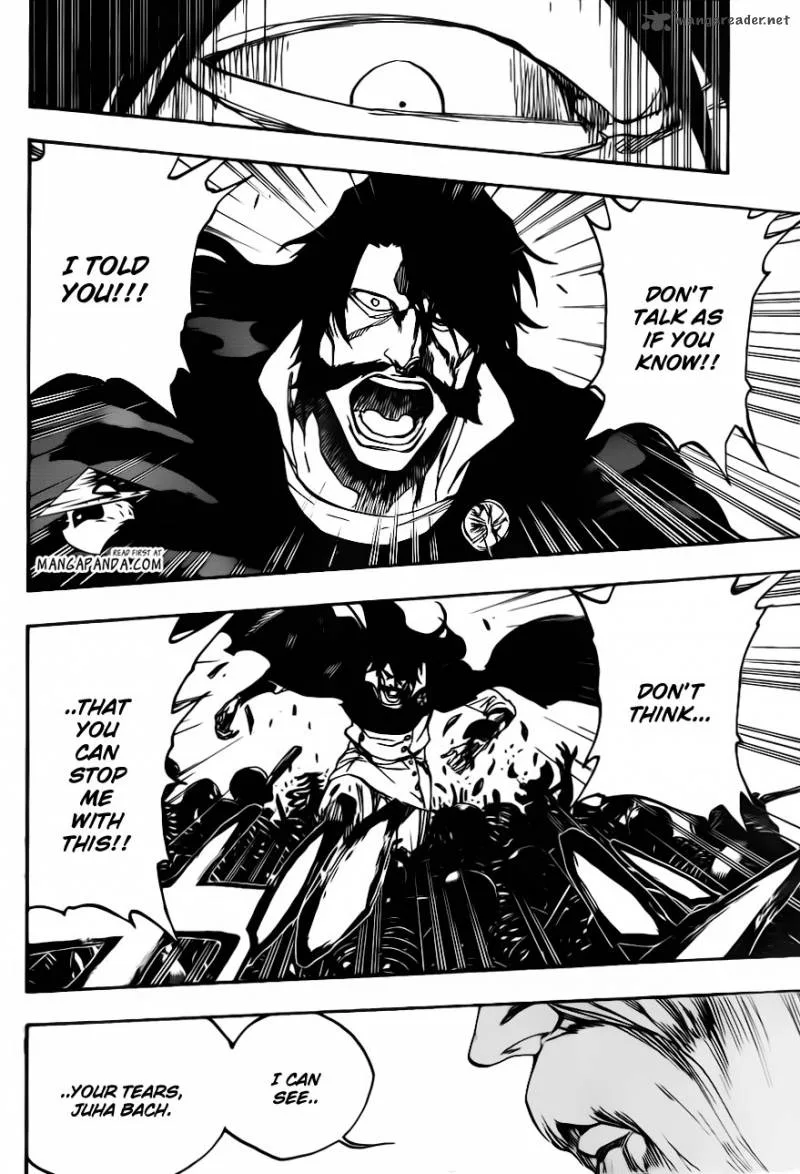 Bleach Chapter 509 page 13