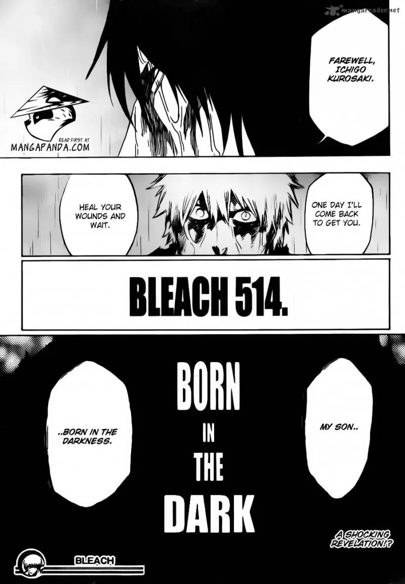 Bleach Chapter 514 page 19