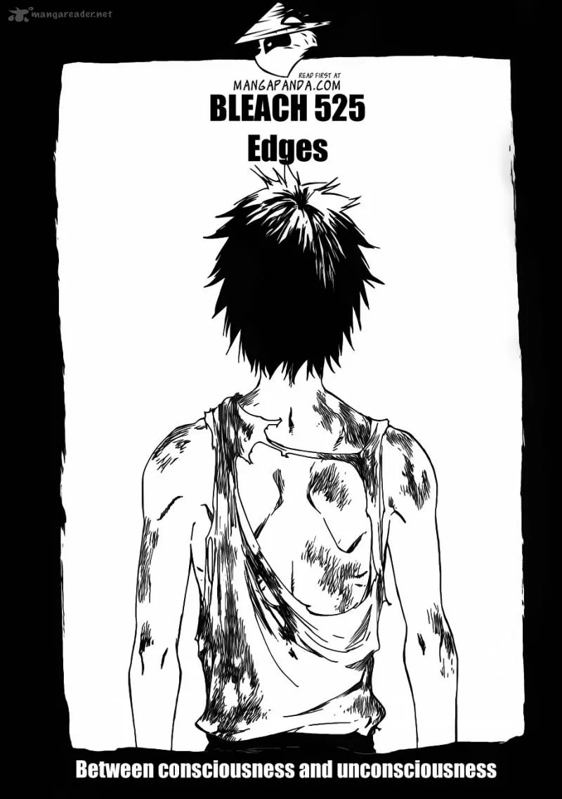 Bleach Chapter 525 page 5