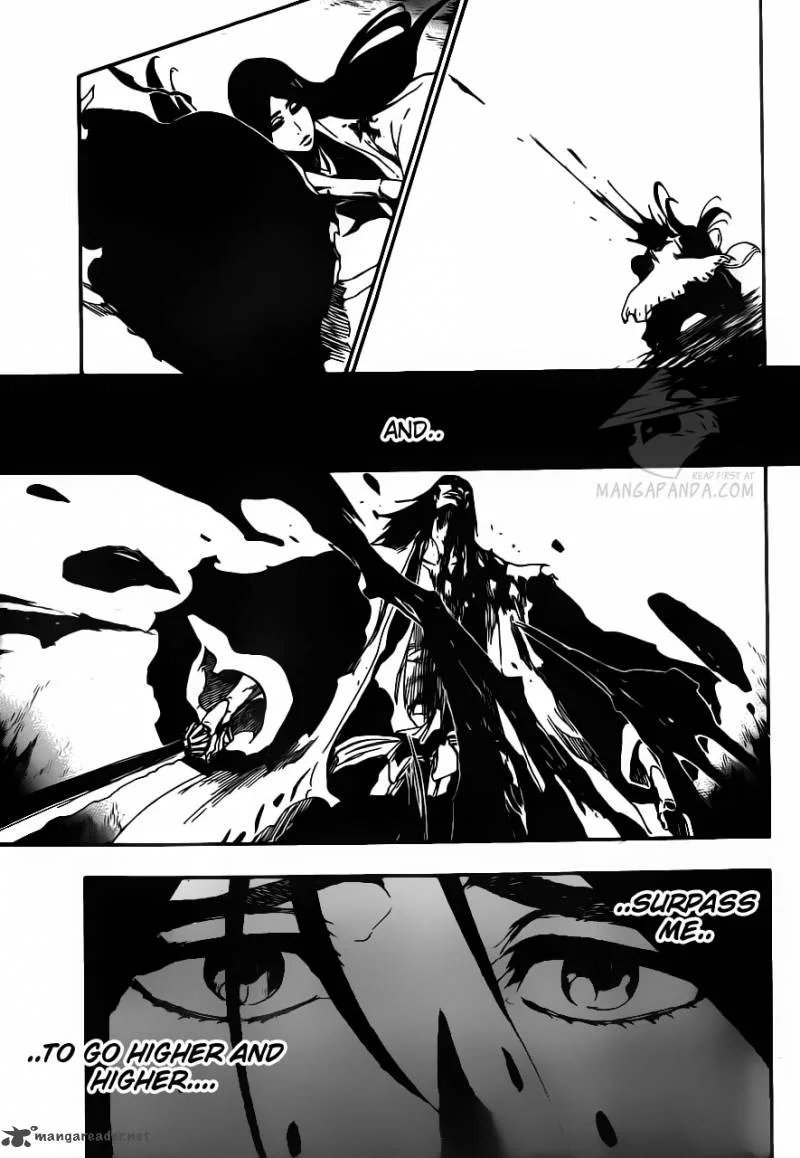 Bleach Chapter 525 page 17