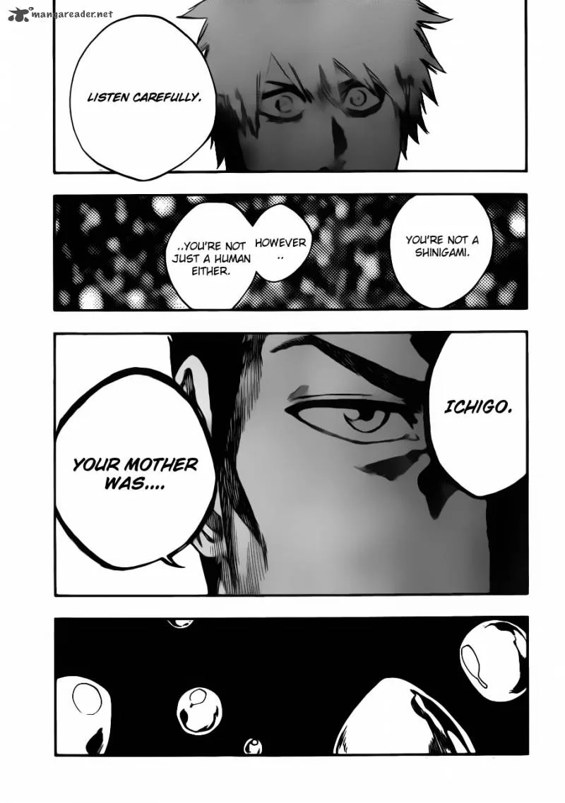 Bleach Chapter 528 page 15