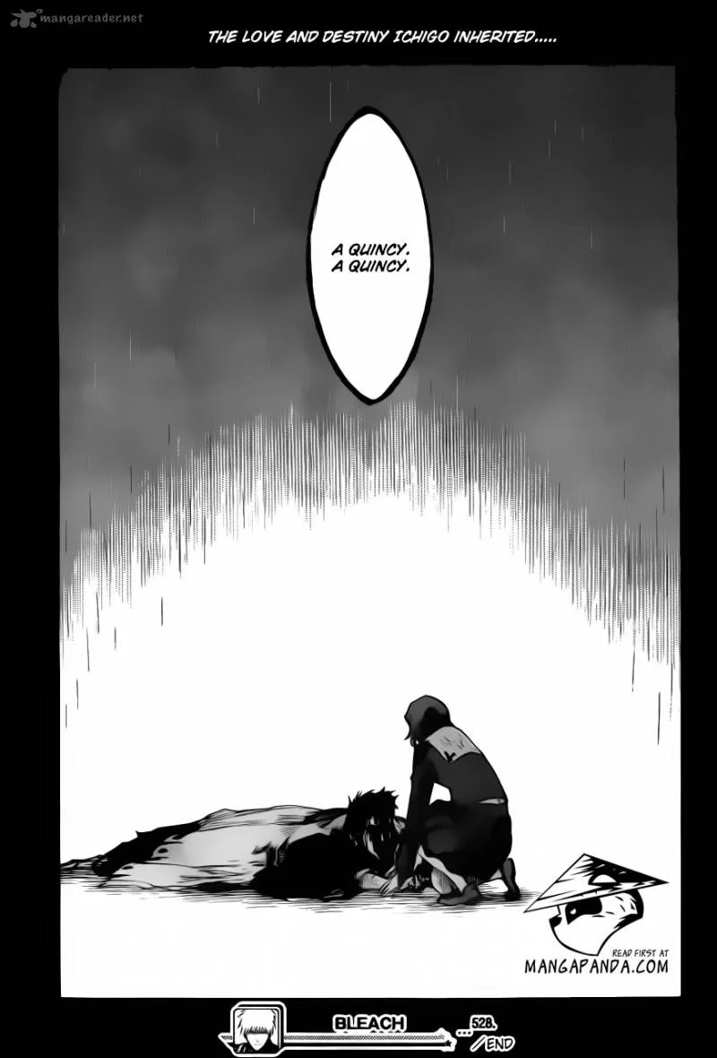 Bleach Chapter 528 page 17
