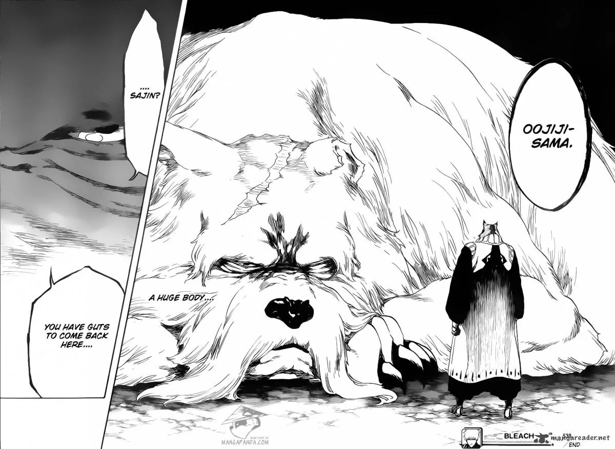 Bleach Chapter 538 page 18
