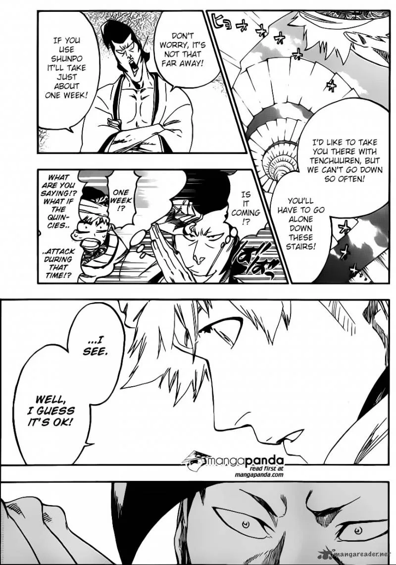 Bleach Chapter 555 page 6