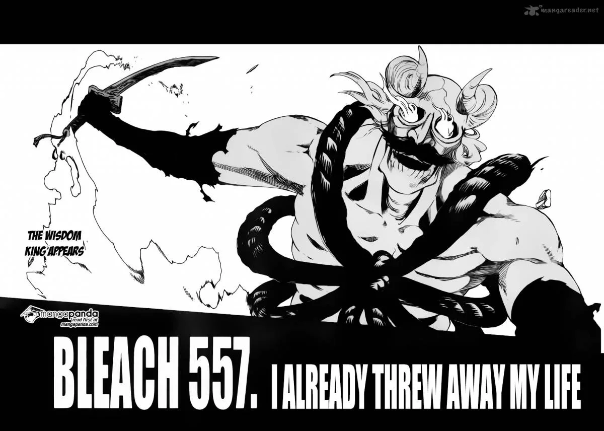 Bleach Chapter 557 page 4