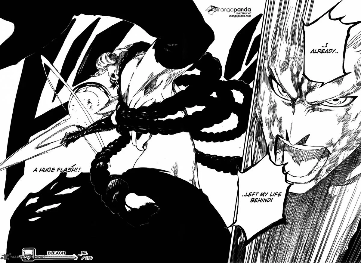 Bleach Chapter 557 page 17