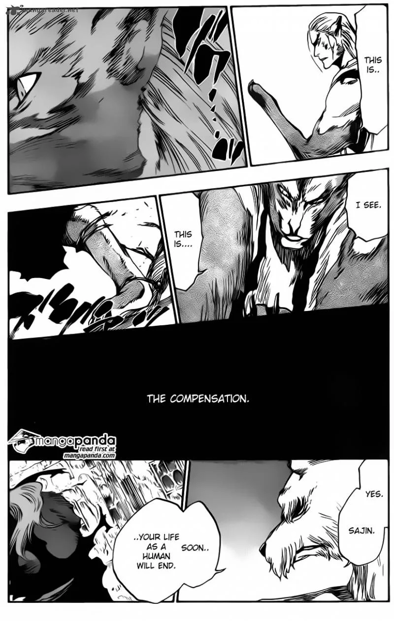 Bleach Chapter 558 page 13