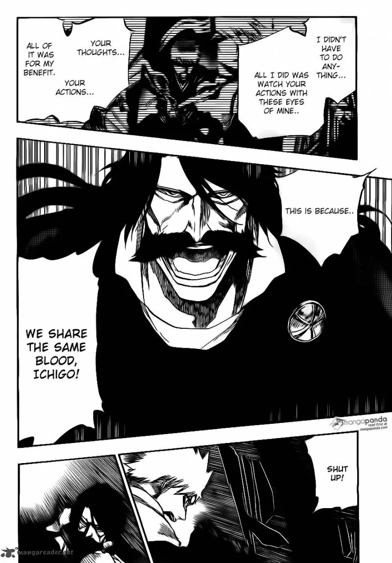 Bleach Chapter 619 page 4