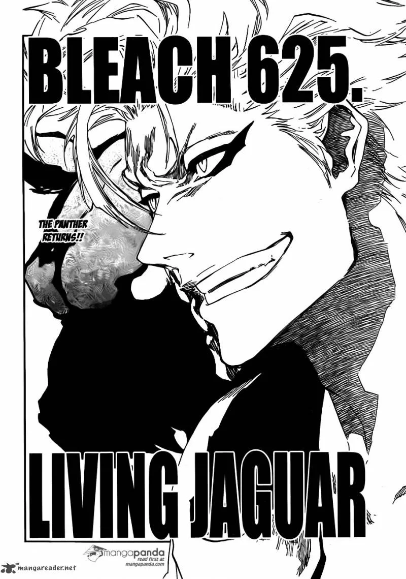 Bleach Chapter 625 page 2