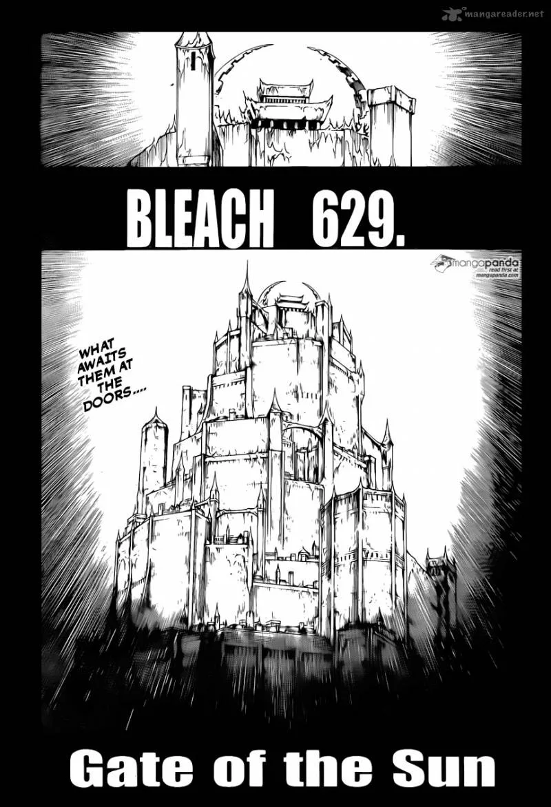 Bleach Chapter 629 page 3