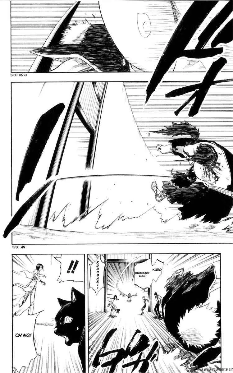 Bleach Chapter 75 page 17