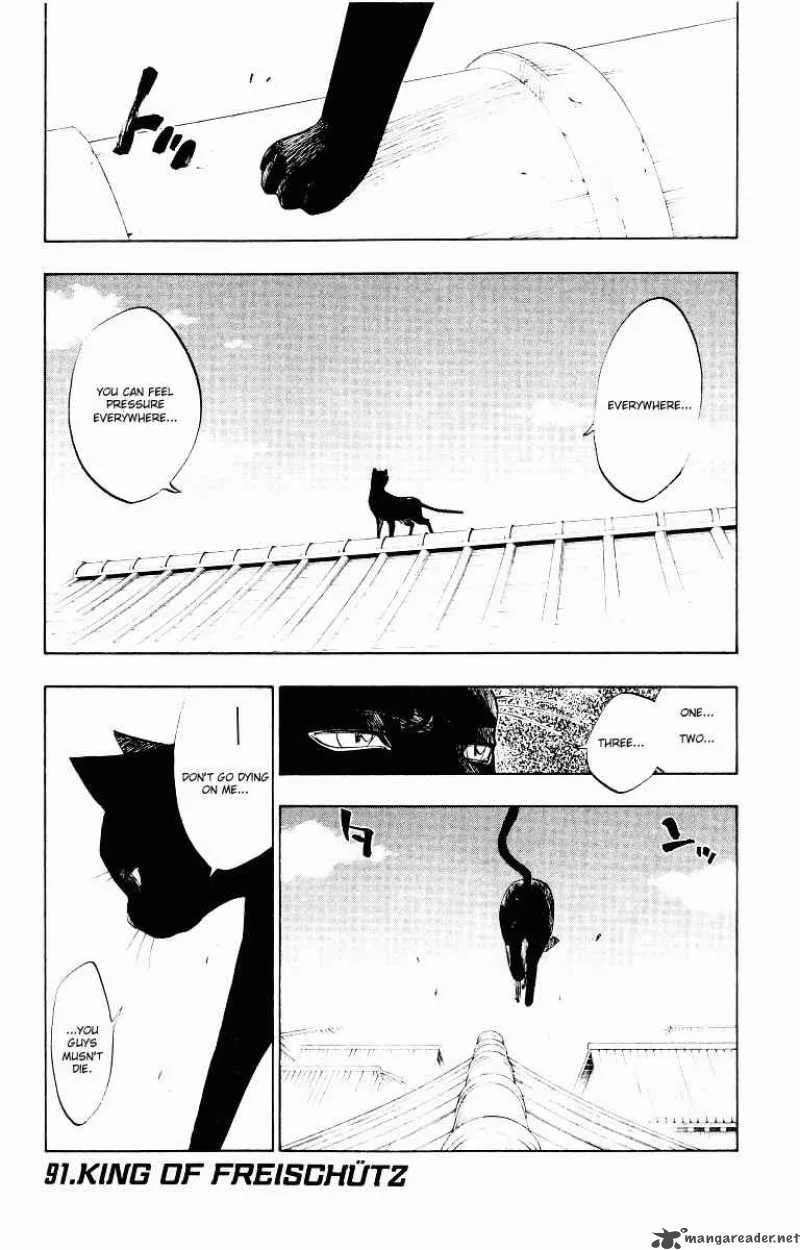 Bleach Chapter 91 page 1