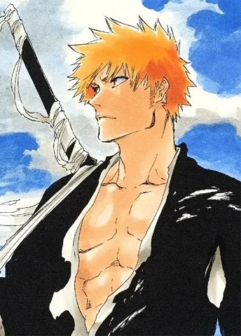 Bleach cover
